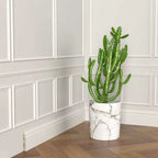 Legacy Skirting | L240cm x W12cm x D1.5cm - NUWALL UK
